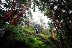 BIB: 
                            <button type="button" onclick="openModal(26202183)" class="btn btn-primary btn-sm float-right btn-popup" data-toggle="modal" data-target=".modal-high-quality">
                        <i class="fas fa-shopping-cart"></i> Add to Cart
                    </button>
                                            <button type="button" onclick="isThisMe(26202183, true)" class="btn btn-success btn-sm float-right btn-popup btn-isme hidden" data-toggle="tooltip" data-placement="bottom" title="นี่คือรูปของคุณใช่ไหม คลิกที่นี่เพื่อเอาเข้าอัลบั้ม">
                        <i class="fas fa-plus"></i> Add to album
                    </button>
                    <button type="button" onclick="isThisMe(26202183, false)" class="btn btn-warning btn-sm float-right btn-popup btn-isnotme hidden">
                        <i class="fas fa-ban"></i> Remove from album
                    </button>